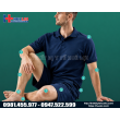 Máy xung kích hội tụ áp điện PIEZONIA 